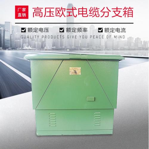 DFW-12/630A高壓歐式電纜分支箱 10千伏高壓電纜分支箱